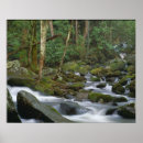 Search for cascade posters Nature