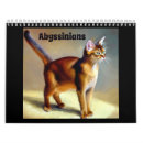 Search for abyssinian cat Pet