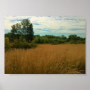 Search for summer scene posters Meadow