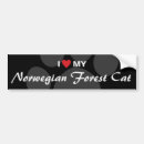 Search for i love cats bumper stickers Cat lovers