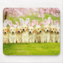 Search for puppy mouse mats Funny