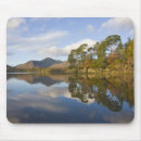Search for cumbria electronics Nobody