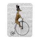 Search for greyhound magnets Penny farthing