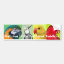Search for birds of a feather bumper stickers Animals