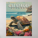 Search for galapagos art Giant tortoise