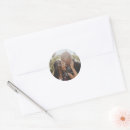Search for stylish photo stickers Create your own