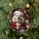 Search for holiday pet memorial christmas tree decorations Dog lover