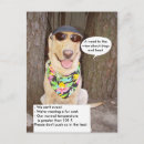 Search for heating postcards Dog