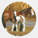 Search for mare and foal stickers Water