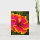 Search for orange note cards Summer