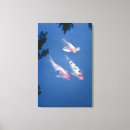 Search for high angle view canvas prints Koi carp