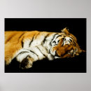 Search for orange black white art Stripes