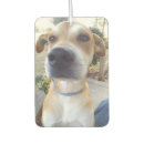 Search for pet photo car air fresheners Birthday