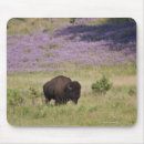Search for dakota mouse mats Nature