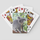 Search for koala bear playing cards Outback