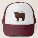 Search for highland cow hats Cattle