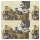 Search for great dane fabric Cute