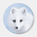 Search for arctic fox magnets Alaska