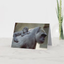 Search for primate pics cards Wildlife