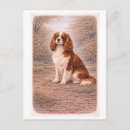 Search for charles spaniel postcards Pet