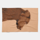 Search for labrador retriever tea towels Cute