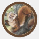 Search for environmentalism stickers Forest