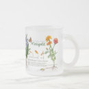 Search for herb mugs Botanical