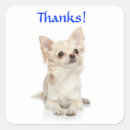 Search for long haired chihuahua stickers Puppy