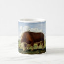 Search for hereford mugs Beef