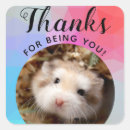 Search for pet hamster stickers Furry