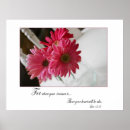 Search for gerber art Pink