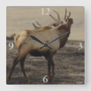 Search for bugles art Wapiti
