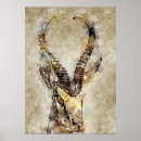 Search for gazelle posters Africa