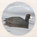 Search for fowl coasters Wildlife