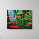 Search for fish canvas prints Pond