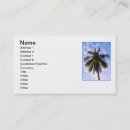 Search for coconuts business cards Palm