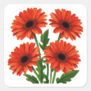Search for red gerbera labels Daisies