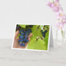 Search for red grape Red grapes