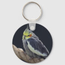 Search for cockatiel key rings Parakeet