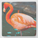 Search for exotic barware Beautiful