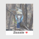 Search for kookaburras stickers Wildlife
