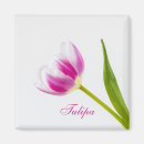 Search for spring tulips magnets Botanical