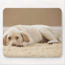Search for innocent mouse mats Indoors