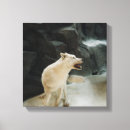Search for wolves art Inspirational