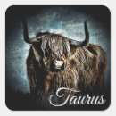 Search for taurus symbol stickers Zodiac