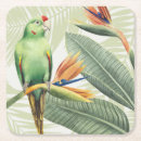 Search for palm leaf coasters Palms