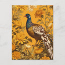 Search for pheasants postcards Nature