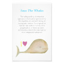 Search for save baby kids Whales