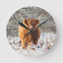 Search for scottish wildlife art Cow