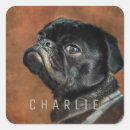 Search for black pug stickers Pet